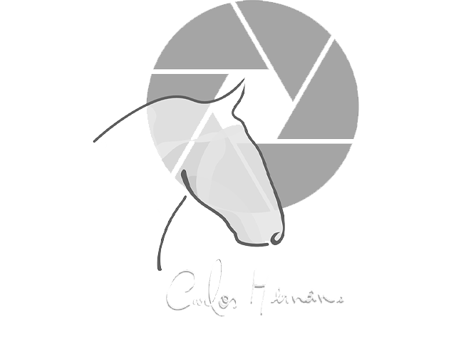 Carlos Hernani