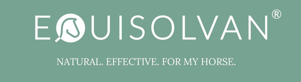 Equisolvan