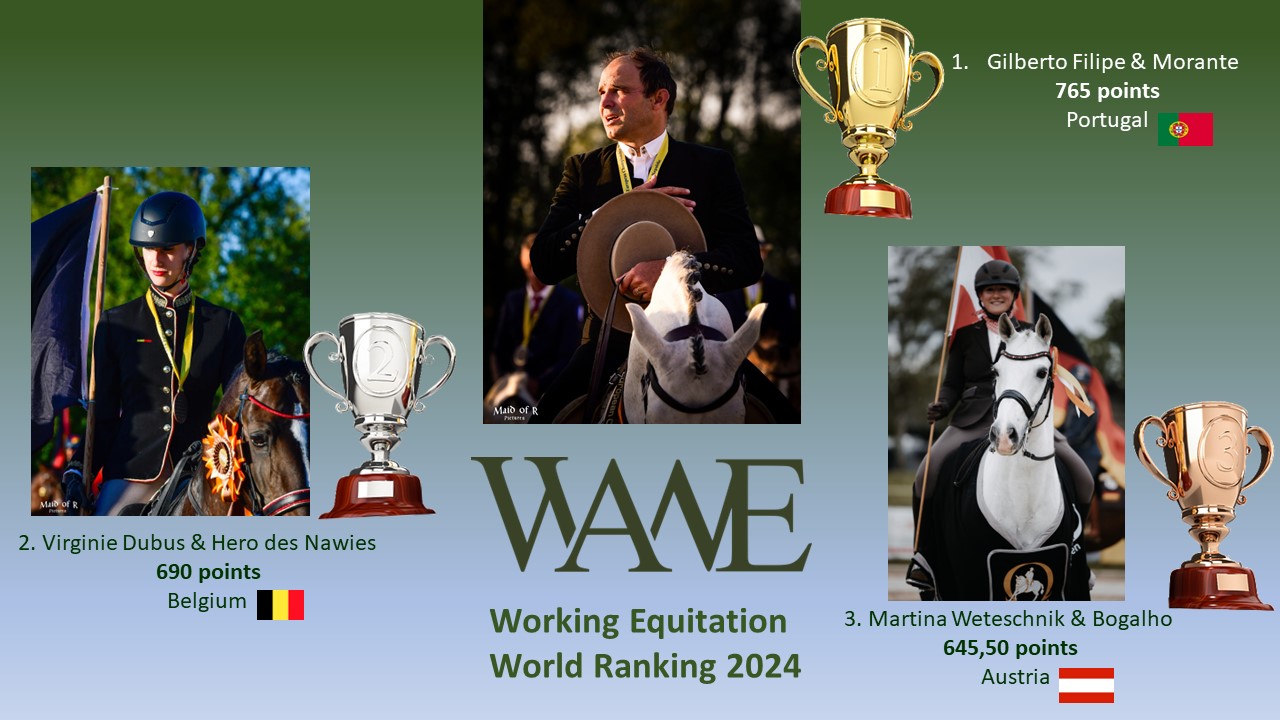 World Ranking 2024