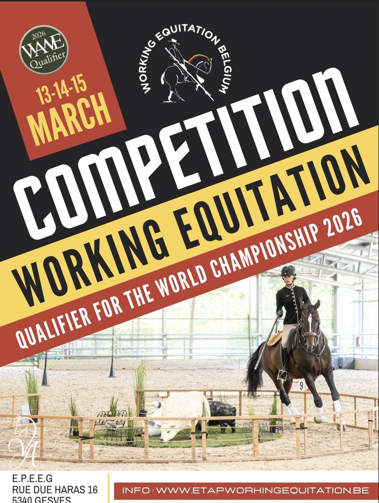 WAWE Qualifier Belgium